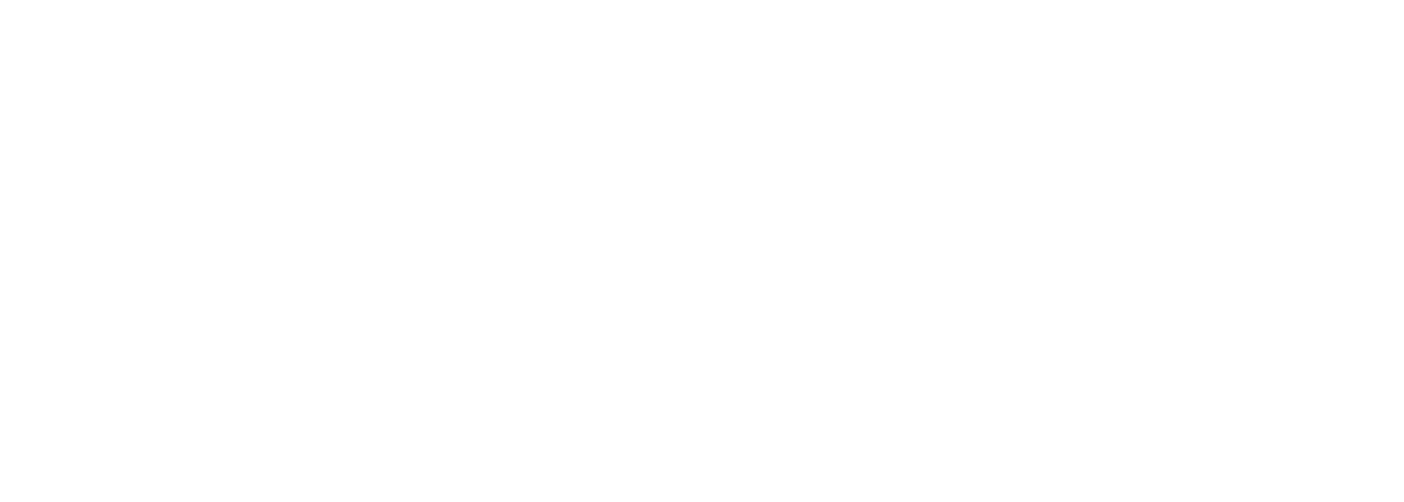 Ahold Czech Republic copy