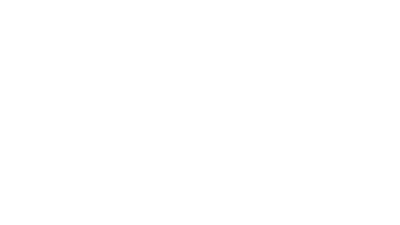 Mimeda Turkey copy